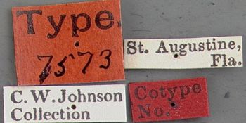 Media type: image;   Entomology 7573 Aspect: labels
